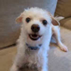 Meet your Posher, Caleb